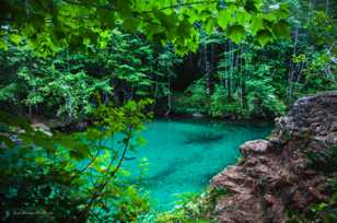 Pool in Kennedy River, Vancouver Island-7527